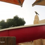 TEMATIZACION PISCINA HOTEL CONDESA EN MALLORCA CONSTRUCCIÓN Y DISEÑO THEMATICLAND